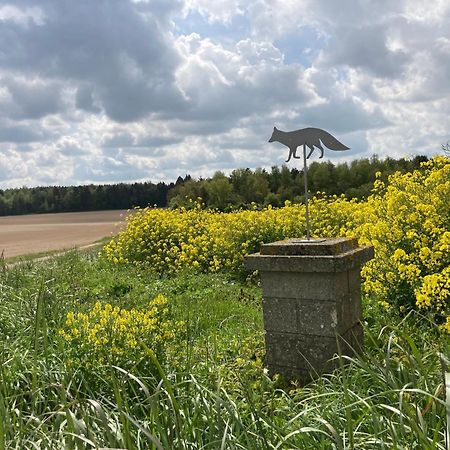 "Aux Chants Des Oiseaux" Domaine De La Renardiere Les Grandes-Loges Exterior foto
