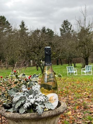 "Aux Chants Des Oiseaux" Domaine De La Renardiere Les Grandes-Loges Exterior foto