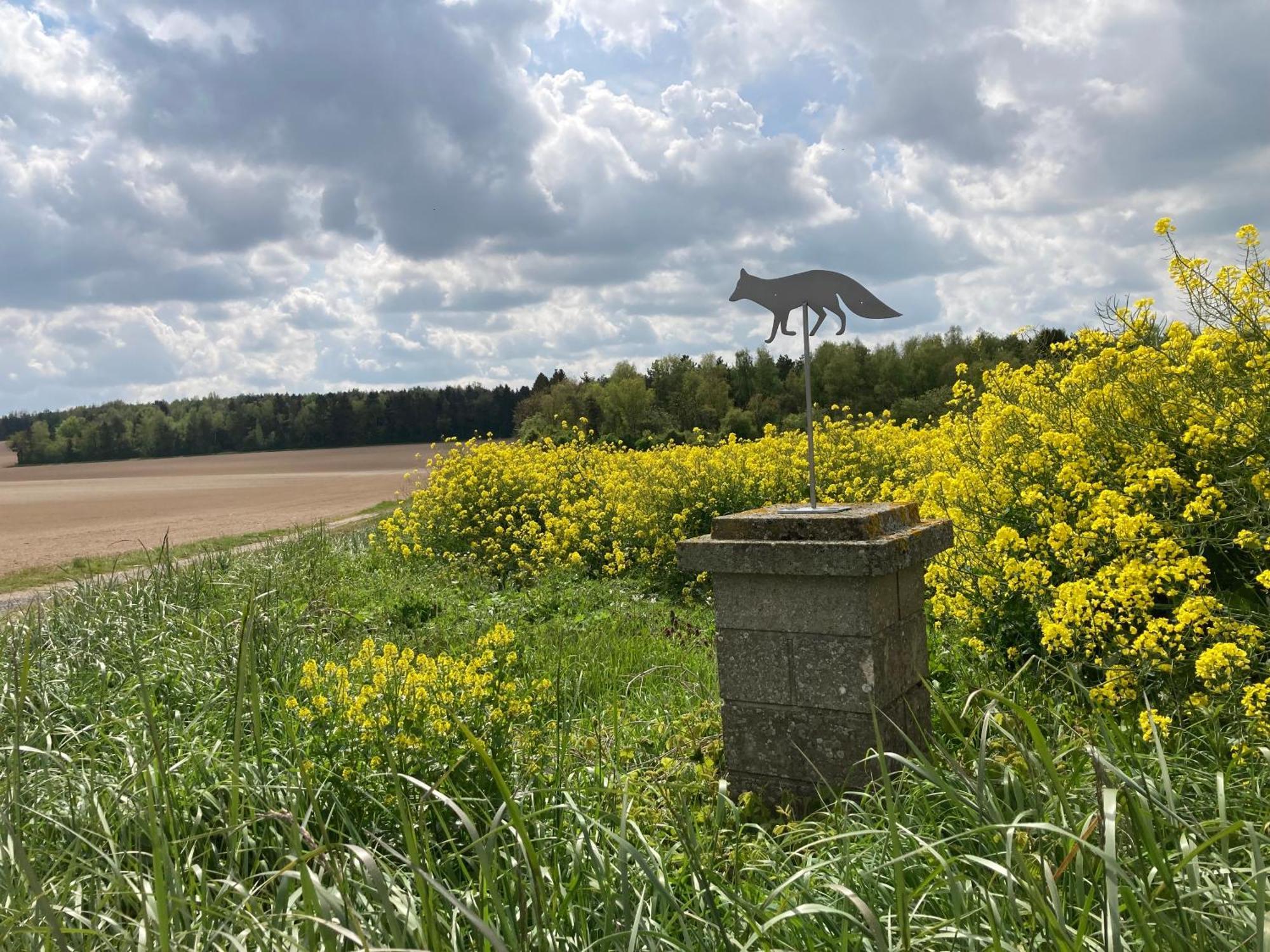 "Aux Chants Des Oiseaux" Domaine De La Renardiere Les Grandes-Loges Exterior foto