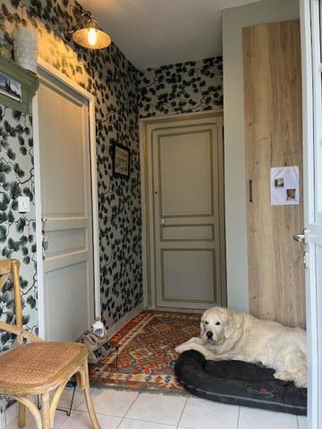 "Aux Chants Des Oiseaux" Domaine De La Renardiere Les Grandes-Loges Exterior foto